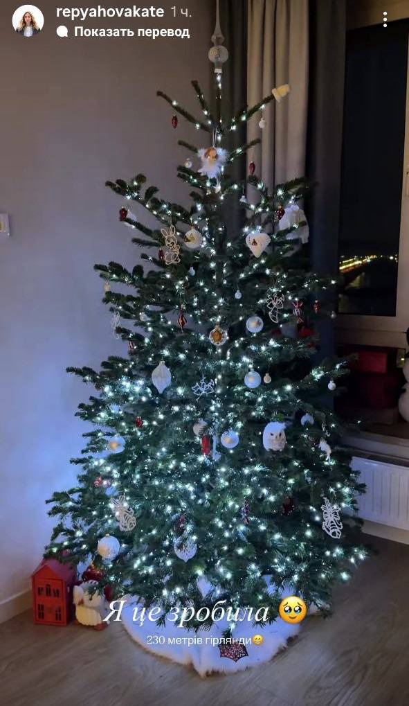 Как Осадчая, Тарабарова и другие украинские звезды украсили свои елки к Рождеству и Новому году